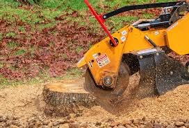 Best Tree and Shrub Care  in Clendon, AR